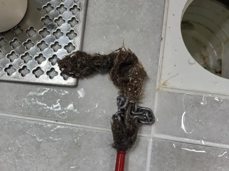 대전 유성구 바닥 배수구에서 끌어낸 머리카락 뭉치