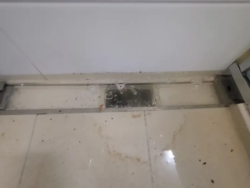 대전 유성구 욕실 벽 쪽 긴 배수구 주변에 고인 물